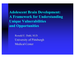 Adolescent Brain Development