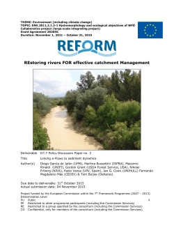 Linking e-Flows to sediment dynamics