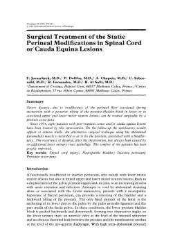 Surgical treatment of the static perineal modifications in