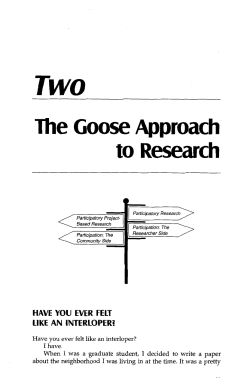 The Goose Approach to Research