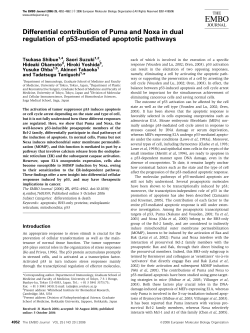 Differential contribution of Puma and Noxa in dual regulation of