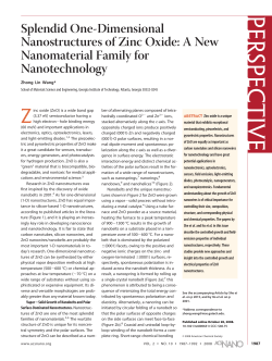 Splendid One-Dimensional Nanostructures of