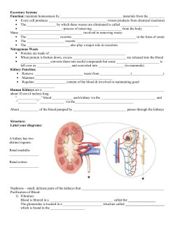 Excretory System: Function: maintain homeostasis by materials from