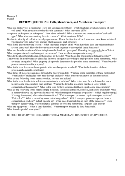 Cells - Net Texts