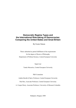 Democratic Regime Types and the International Risk