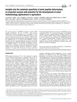 Insights into the substrate specificity of plant peptide deformylase, an