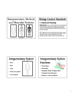 Integumentary System Integumentary System