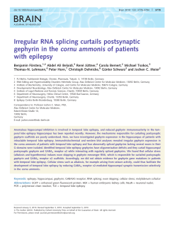 Irregular RNA splicing curtails postsynaptic gephyrin in the cornu