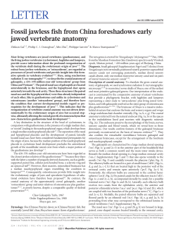 Fossil jawless fish from China foreshadows early jawed vertebrate