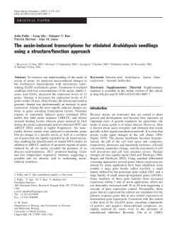 The auxin-induced transcriptome for etiolated Arabidopsis seedlings
