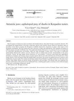 Antarctic jaws: cephalopod prey of sharks in Kerguelen waters