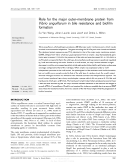 Role for the major outer-membrane