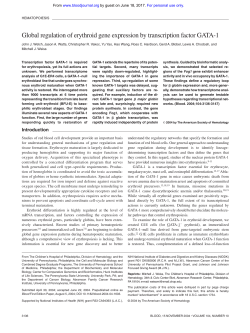 Global regulation of erythroid gene expression by transcription factor