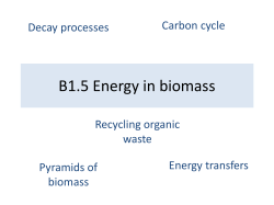 B1.5 Energy in biomass