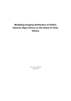 Modelling foraging distribution of Griffon Vultures (Gyps fulvus)