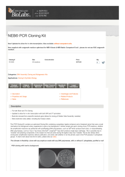 NEB&reg; PCR Cloning Kit | NEB