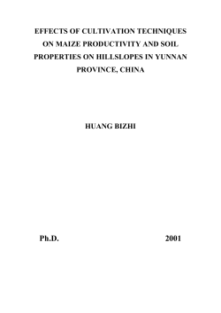 Effects of Cultivation Techniques on Maize Productivity and Soil