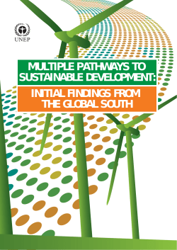 initial findings from the global south multiple pathways to