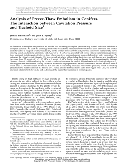 Analysis of Freeze-Thaw Embolism in Conifers