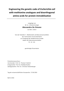 Engineering the genetic code of Escherichia coli with