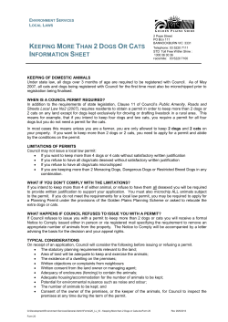 Keeping more than 2 dogs or cats