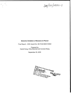Selective Oxidation of Benzene to Phenol Final Report