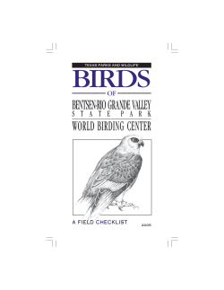 Birds of Bentsen-Rio Grande Valley SP