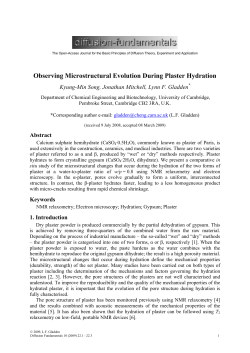 Observing Microstructural Evolution During Plaster Hydration