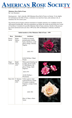 Miniature Rose Hall of Fame By: Luis Desamero Staying power