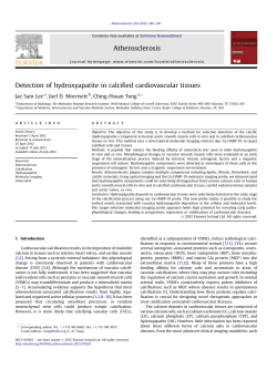 Detection of hydroxyapatite in calcified cardiovascular