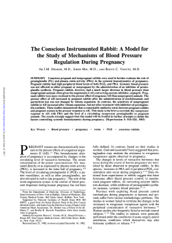 The Conscious Instrumented Rabbit: A Model for the
