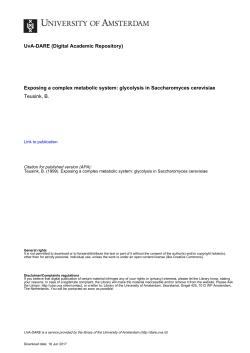 Intracellular glucose in derepressed yeast cells consuming glucose