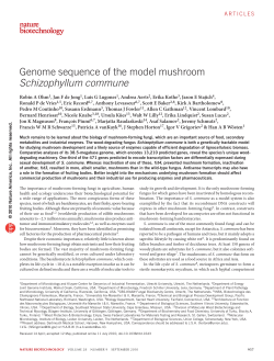 Genome sequence of the model mushroom Schizophyllum