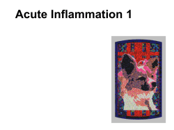Acute Inflammation 1