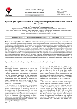Lipocalin gene expression is varied in developmental stages by