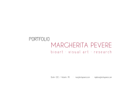 new portfolio - Margherita Pevere