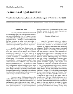 Peanut Leaf Spot and Rust - UF Plant Pathology