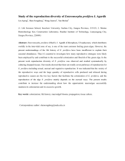 Study of the reproduction diversity of Enteromorpha prolifera J. Agardh