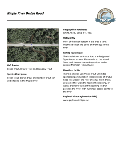 Maple River Brutus Road