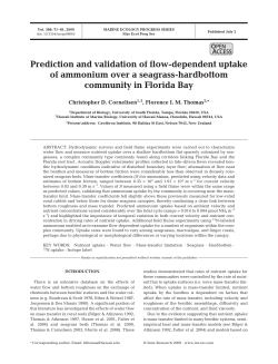 Prediction and validation of flow-dependent uptake of ammonium
