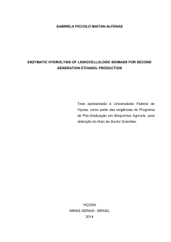 enzymatic hydrolysis of lignocellulosic biomass for