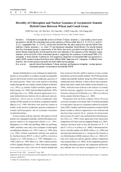 Heredity of Chloroplast and Nuclear Genomes of Asymmetric