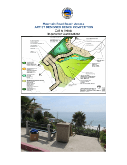 Mountain Road Beach Access ARTIST DESIGNED BENCH