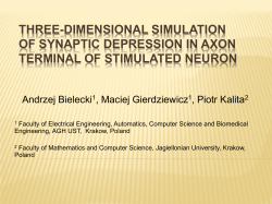 Three Dimensional Simulation of Synaptic Depression in Axon