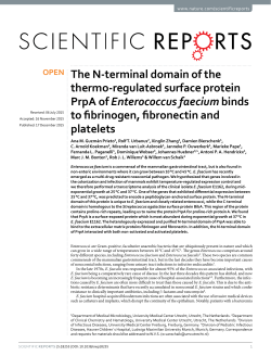 The N-terminal domain of the thermo-regulated surface protein PrpA