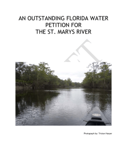 an outstanding florida water petition for the st. marys river
