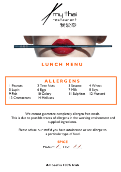 Lunch - My Thai Restaurant