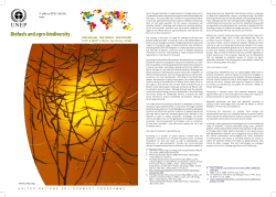 Biofuels and agro-biodiversity