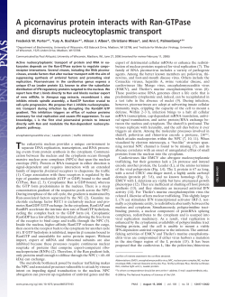 A picornavirus protein interacts with Ran