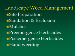 Preemergence herbicides